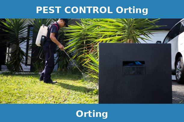 PEST CONTROL Orting